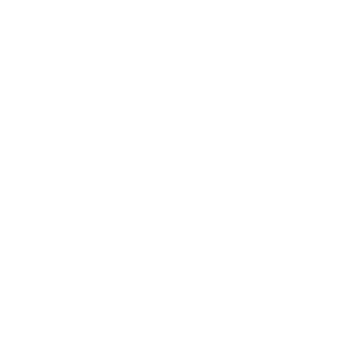 Fixskur